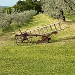 Colle