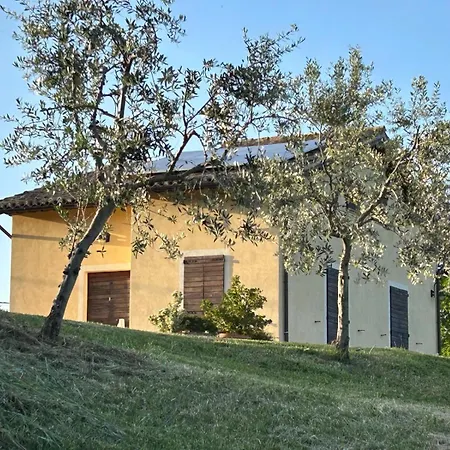 Colle