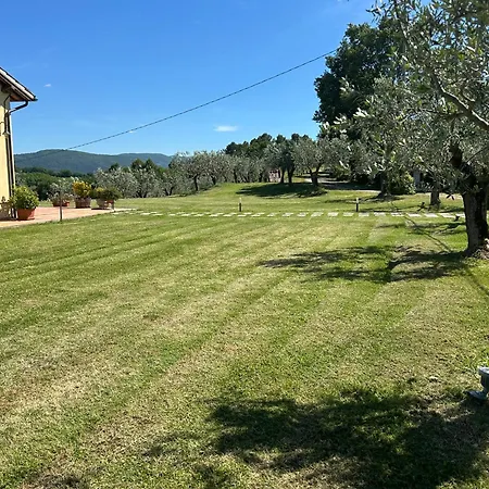 Colle